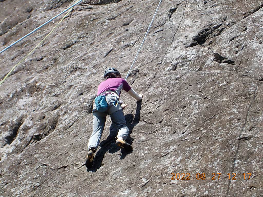 NET�R�x��hHALU�h