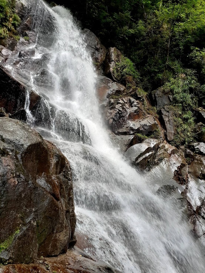 NET�R�x��hHALU�h