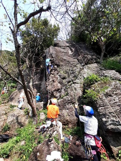 NET�R�x��hHALU�h