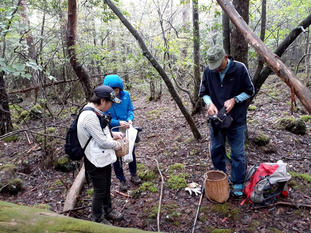 NET�R�x��hHALU�h