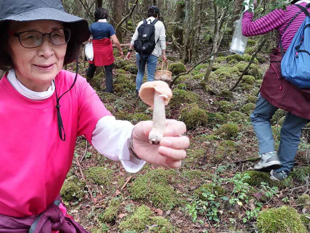 NET�R�x��hHALU�h