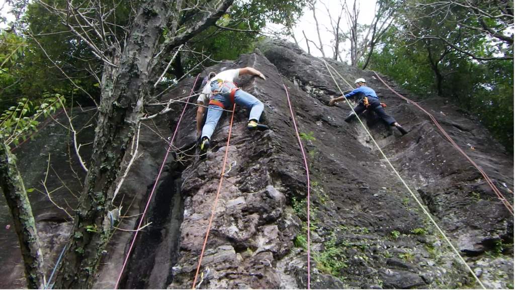 NET�R�x��hHALU�h