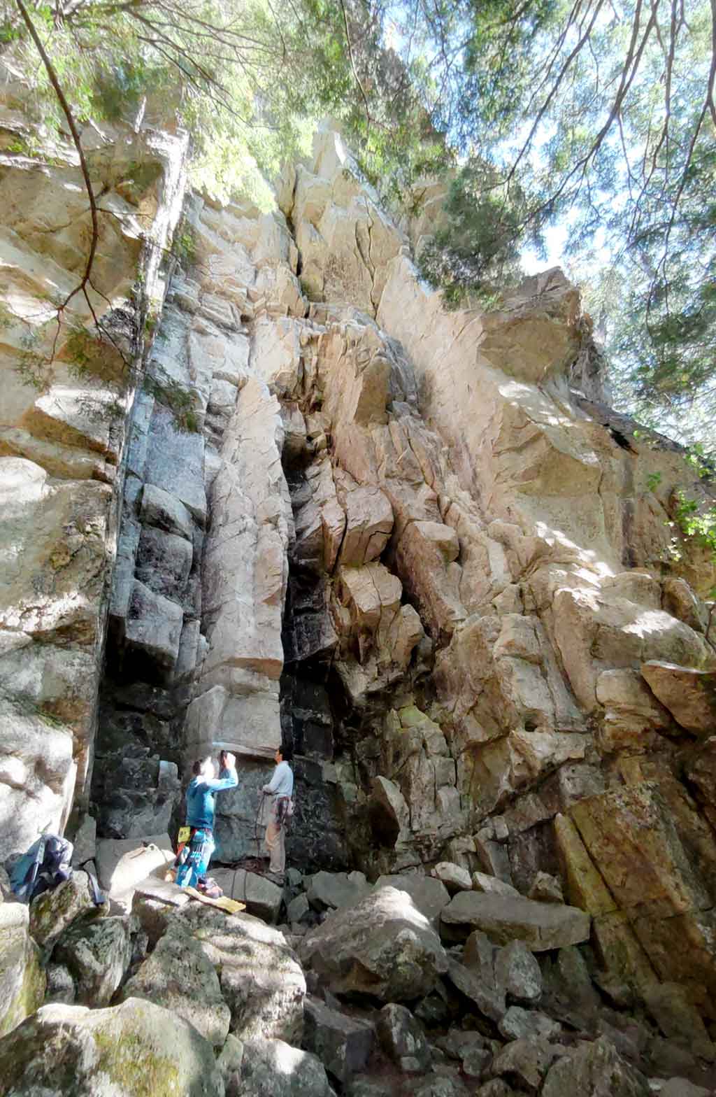 NET�R�x��hHALU�h