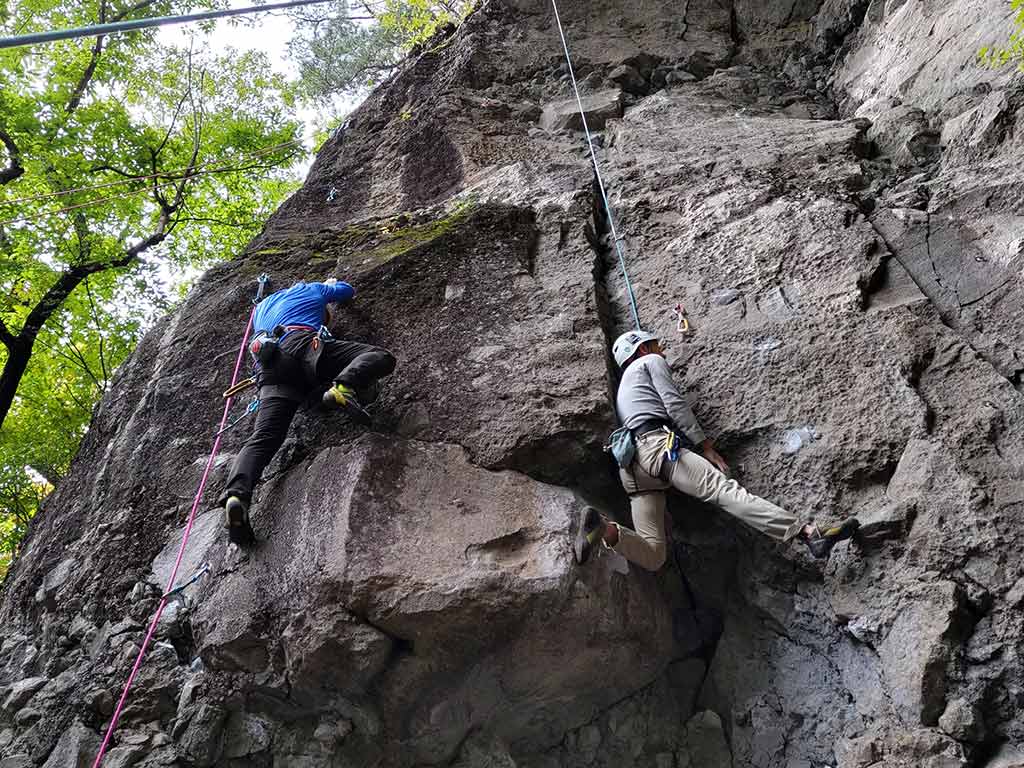 NET�R�x��hHALU�h