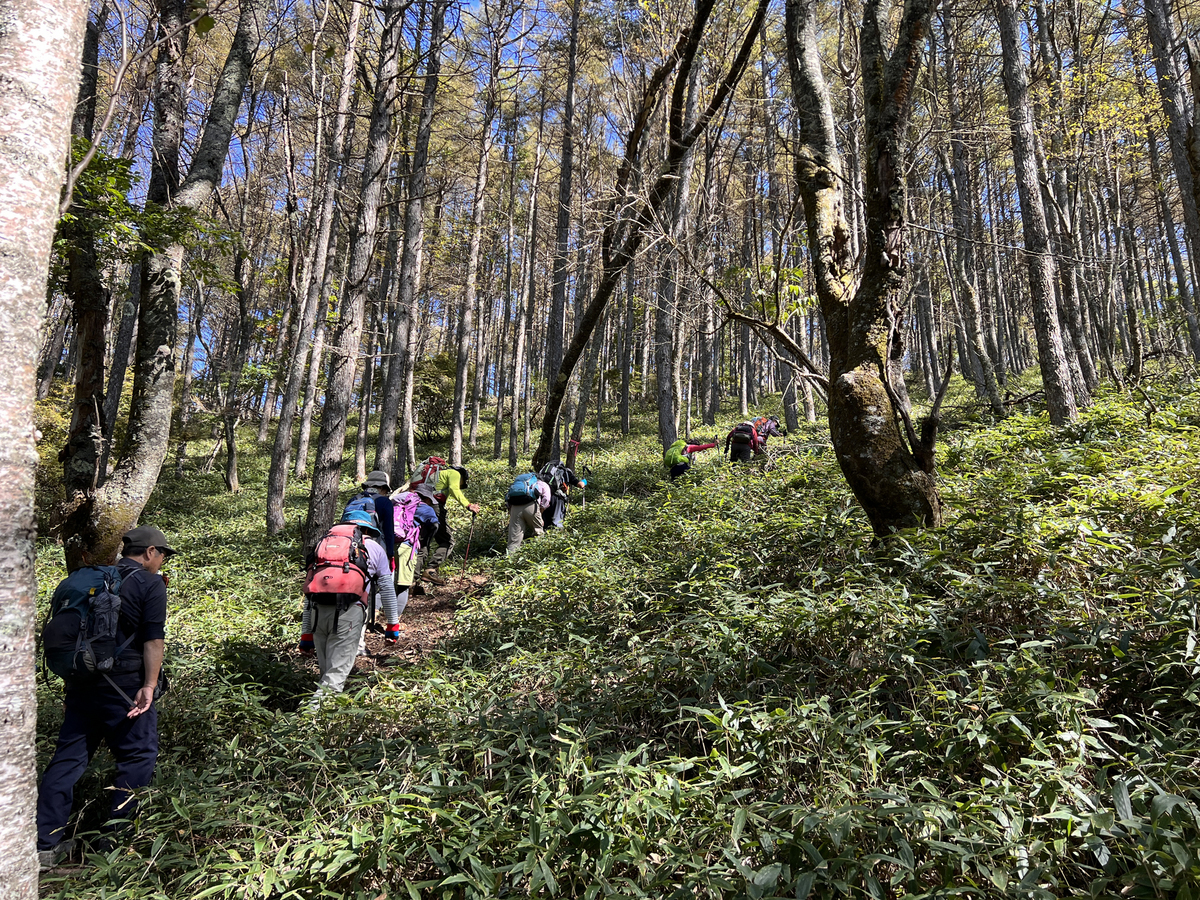 NET�R�x��hHALU�h