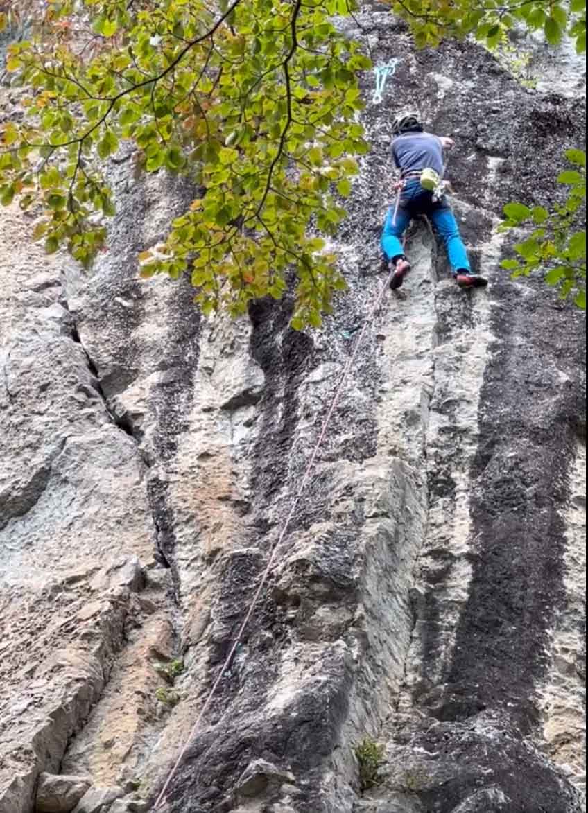 NET�R�x��hHALU�h