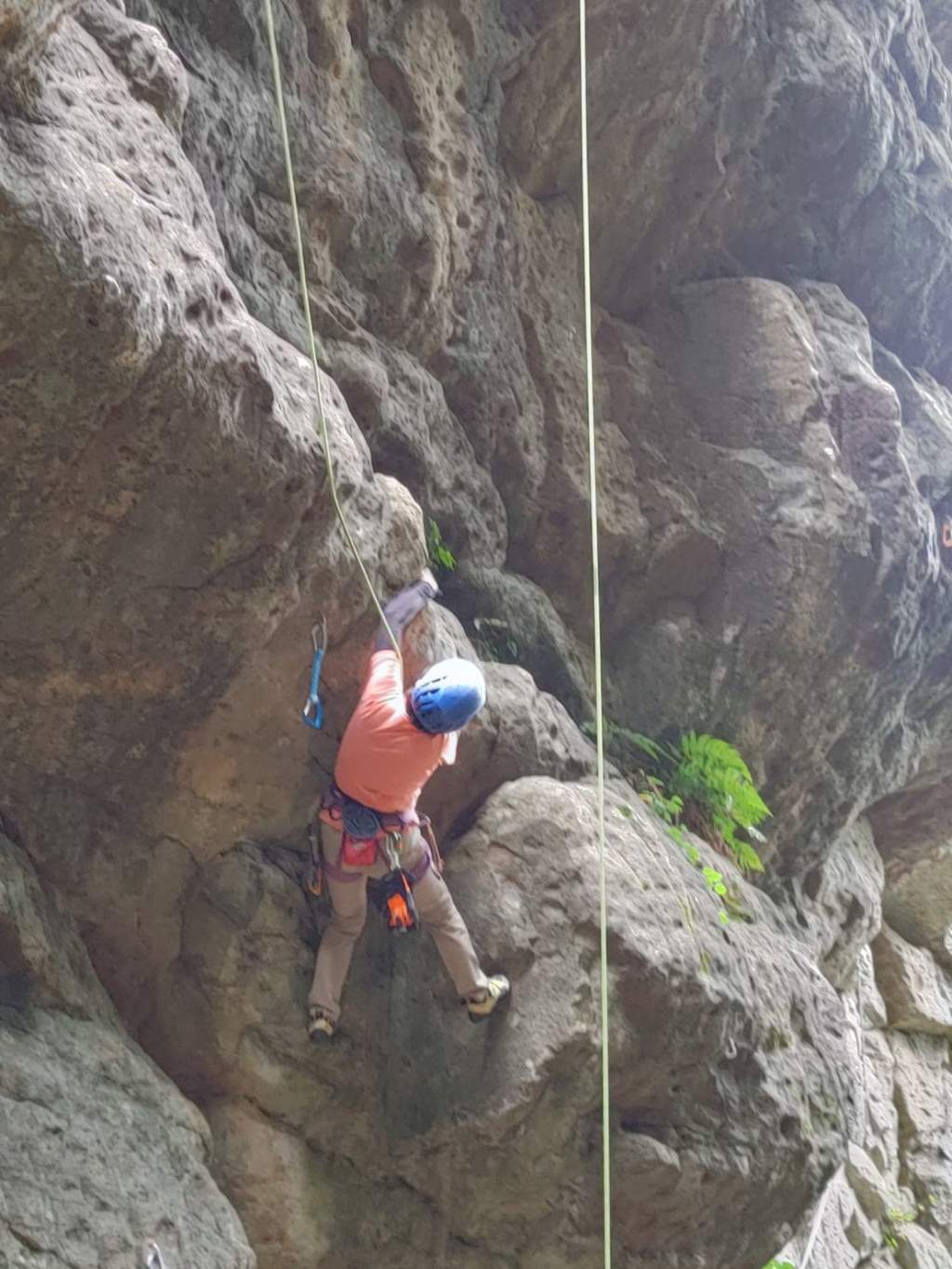 NET�R�x��hHALU�h