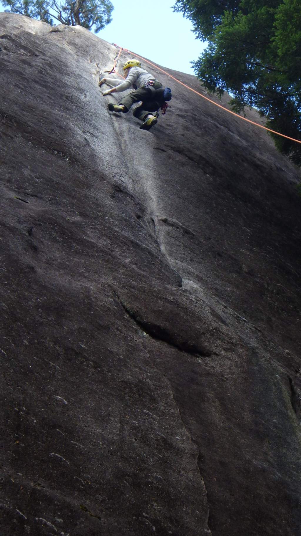 NET�R�x��hHALU�h