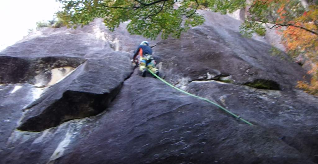 NET�R�x��hHALU�h