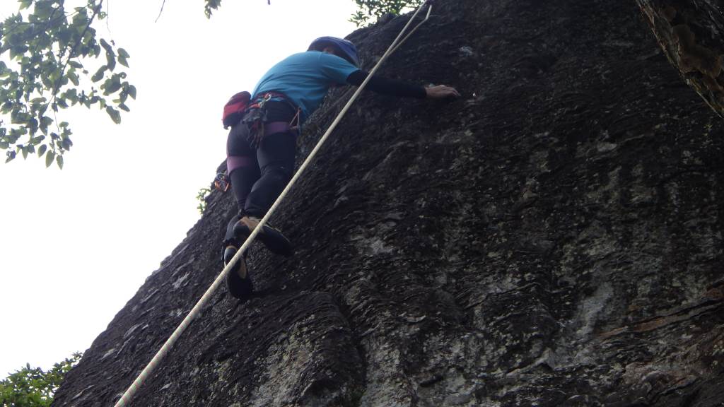 NET�R�x��hHALU�h