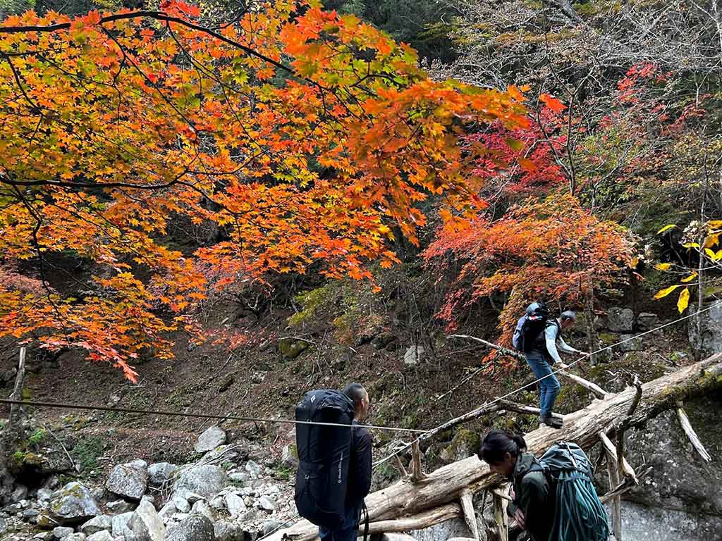 NET�R�x��hHALU�h