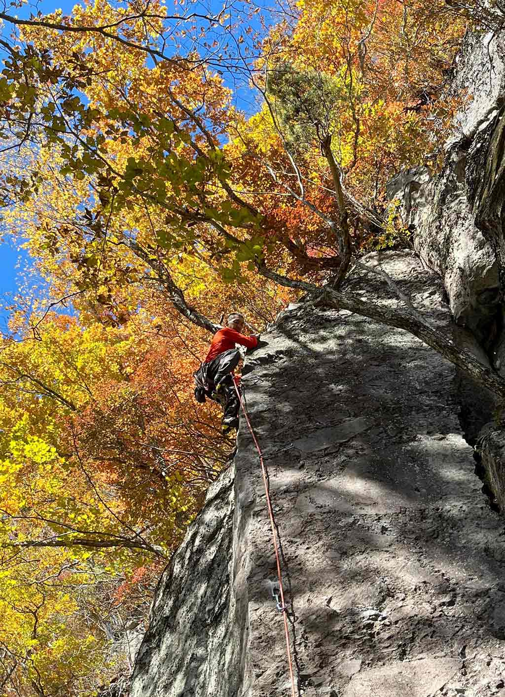 NET�R�x��hHALU�h