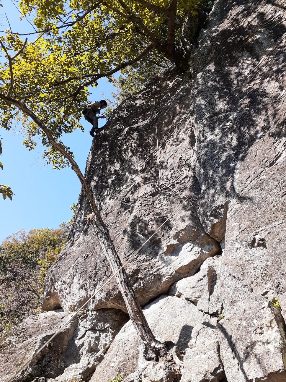 NET�R�x��hHALU�h