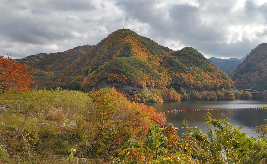 NET�R�x��hHALU�h