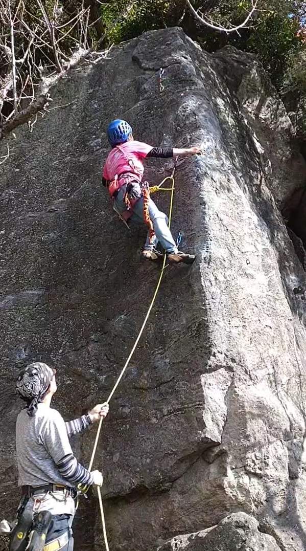 NET�R�x��hHALU�h