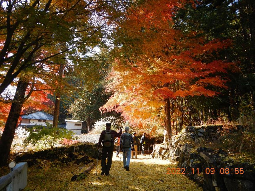 NET�R�x��hHALU�h