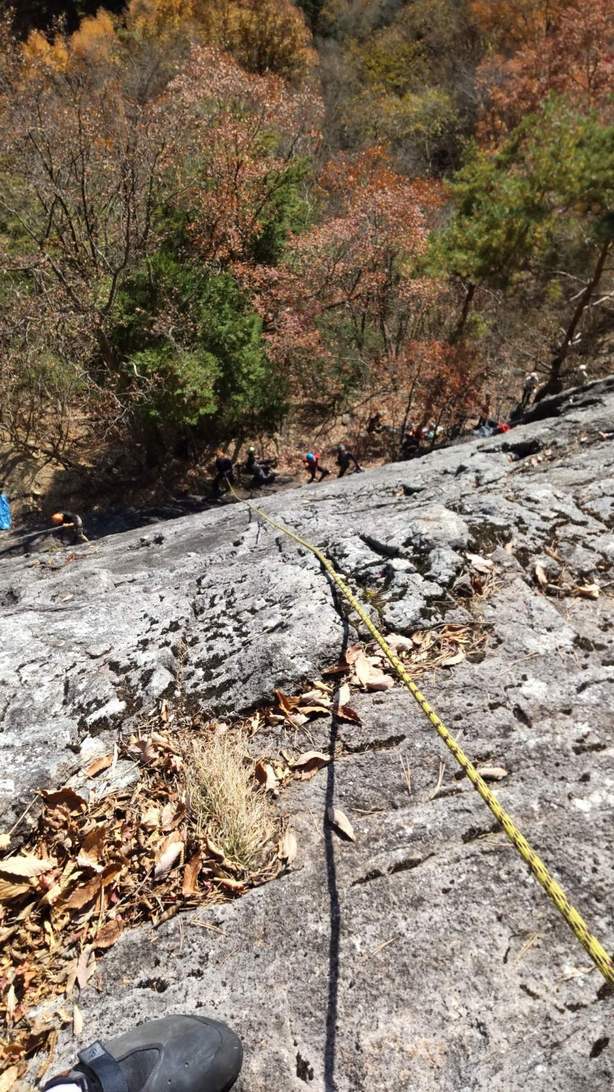 NET�R�x��hHALU�h