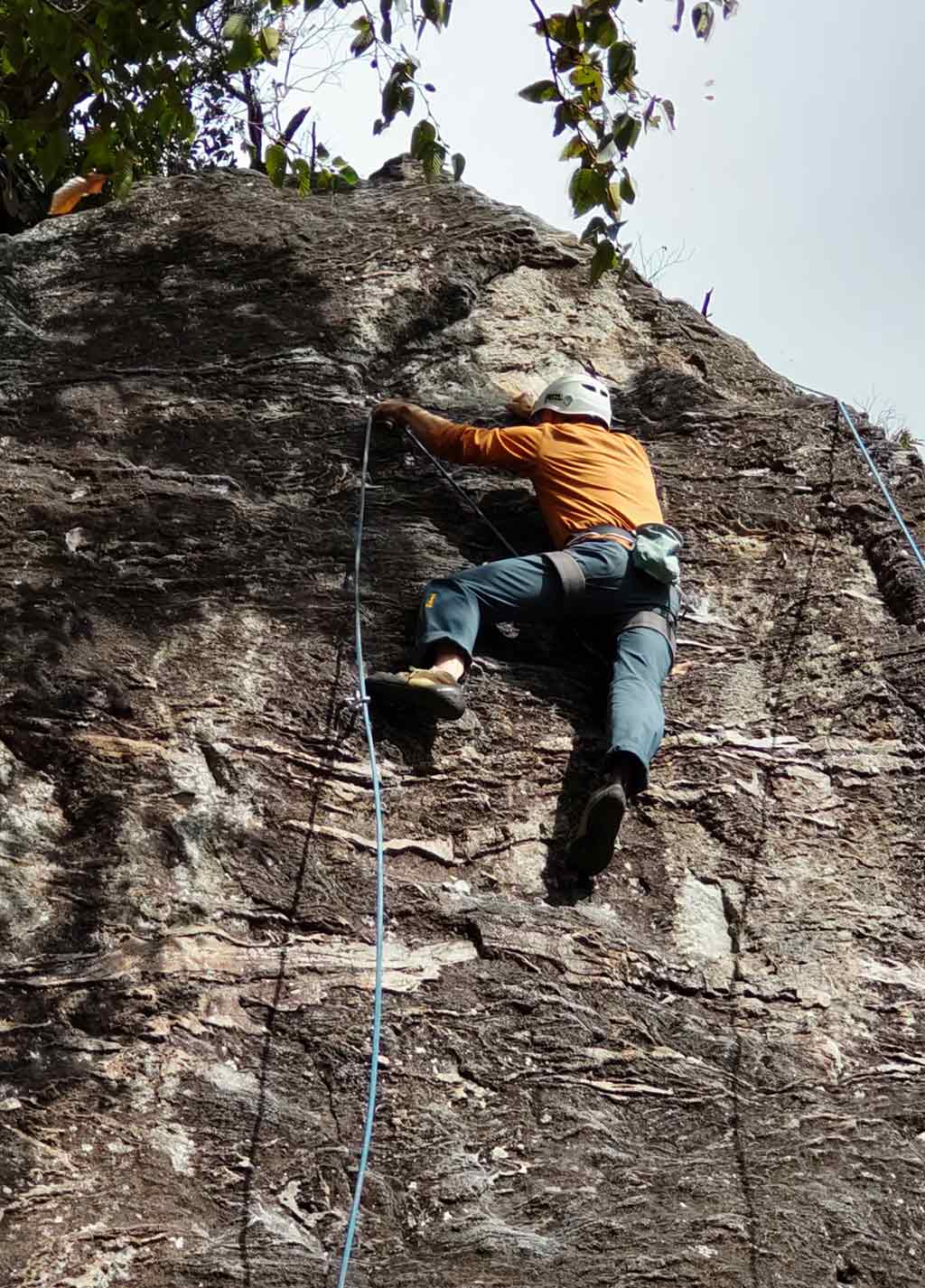 NET�R�x��hHALU�h