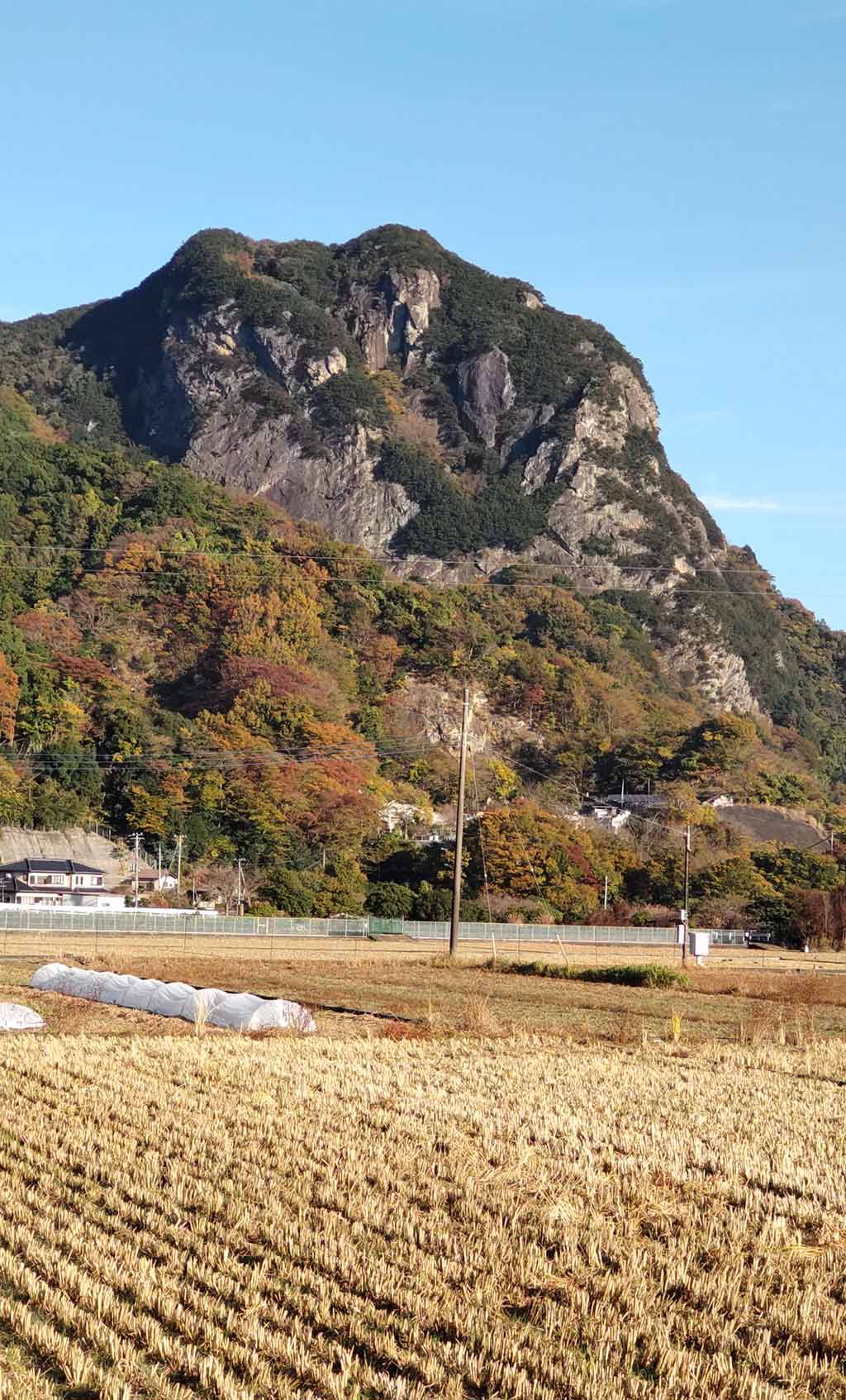 NET�R�x��hHALU�h