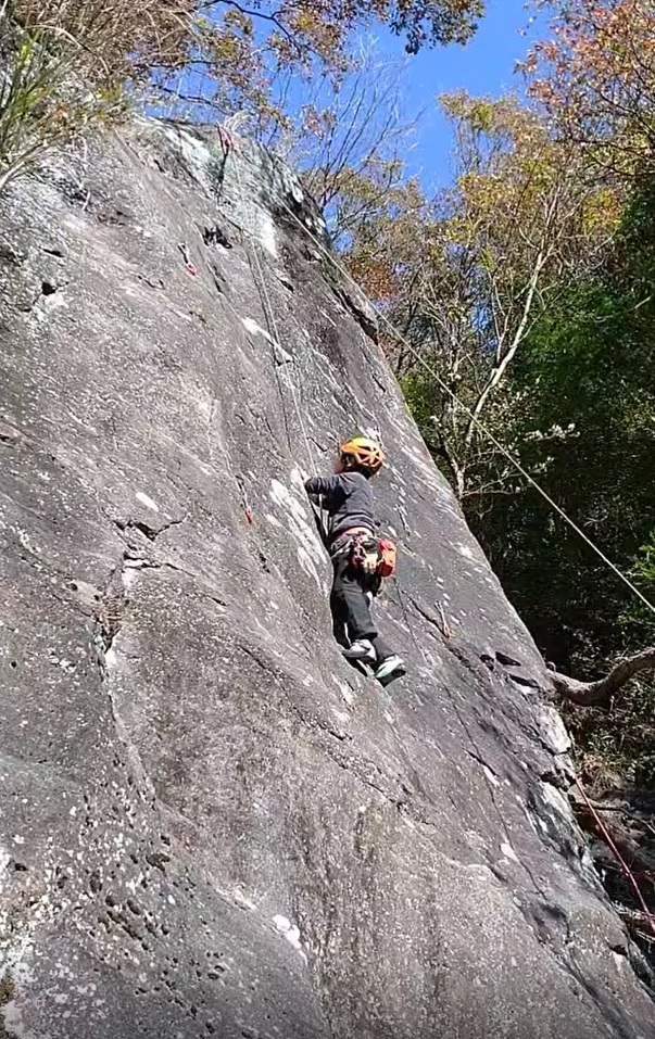 NET�R�x��hHALU�h