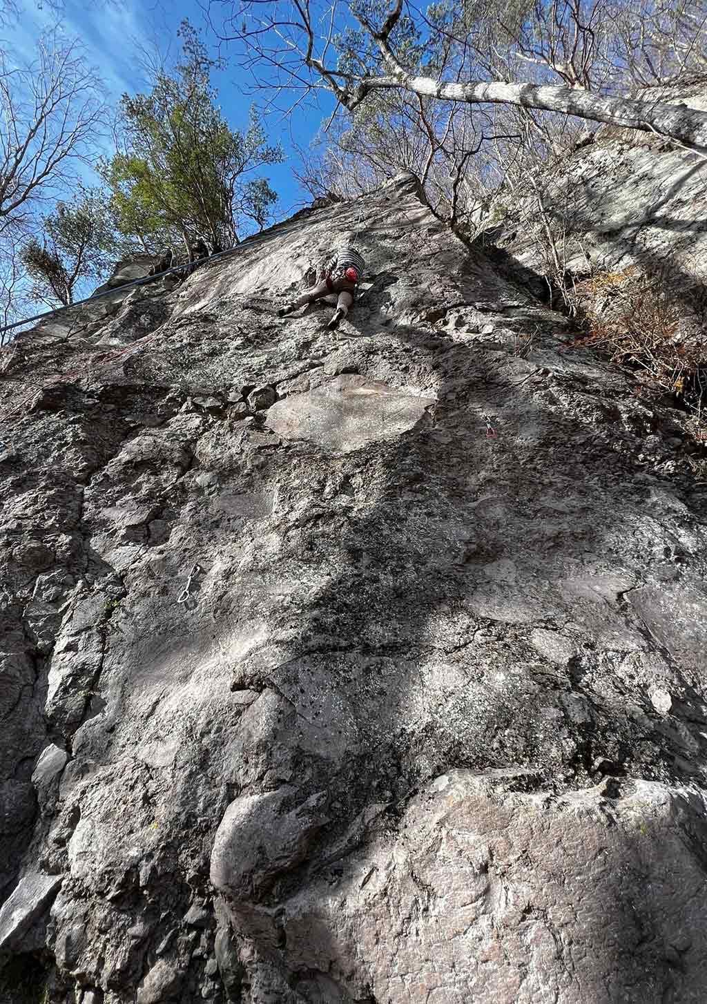 NET�R�x��hHALU�h