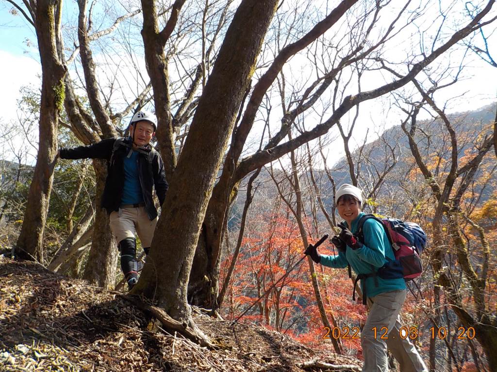 NET�R�x��hHALU�h