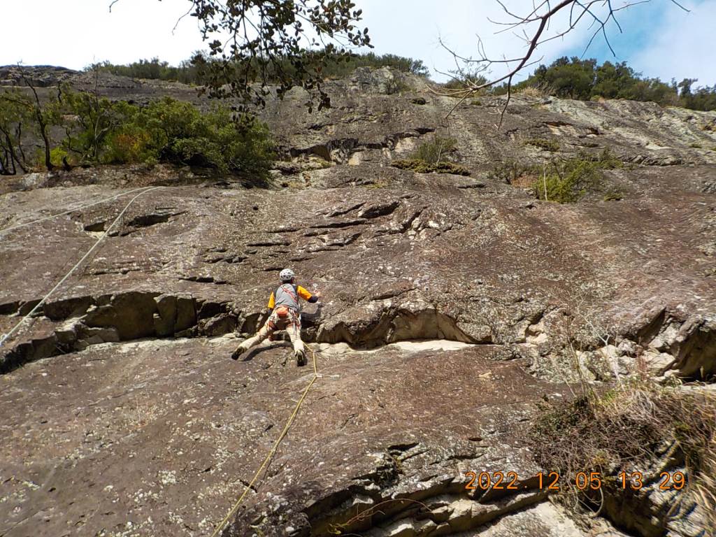 NET�R�x��hHALU�h