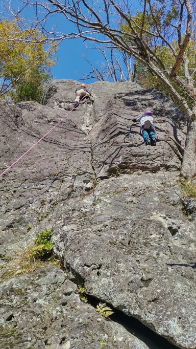 NET�R�x��hHALU�h