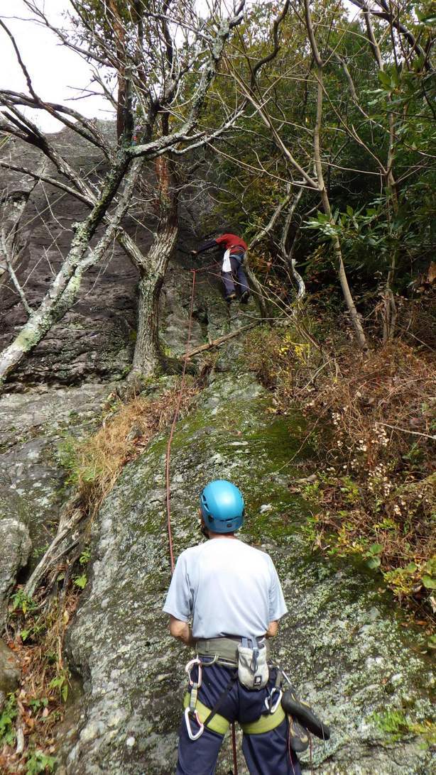 NET�R�x��hHALU�h