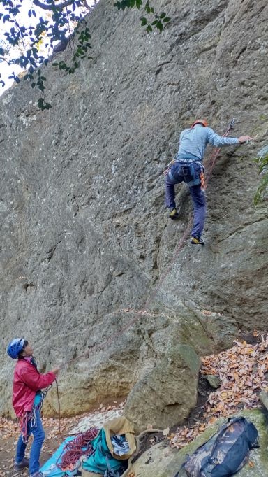 NET�R�x��hHALU�h