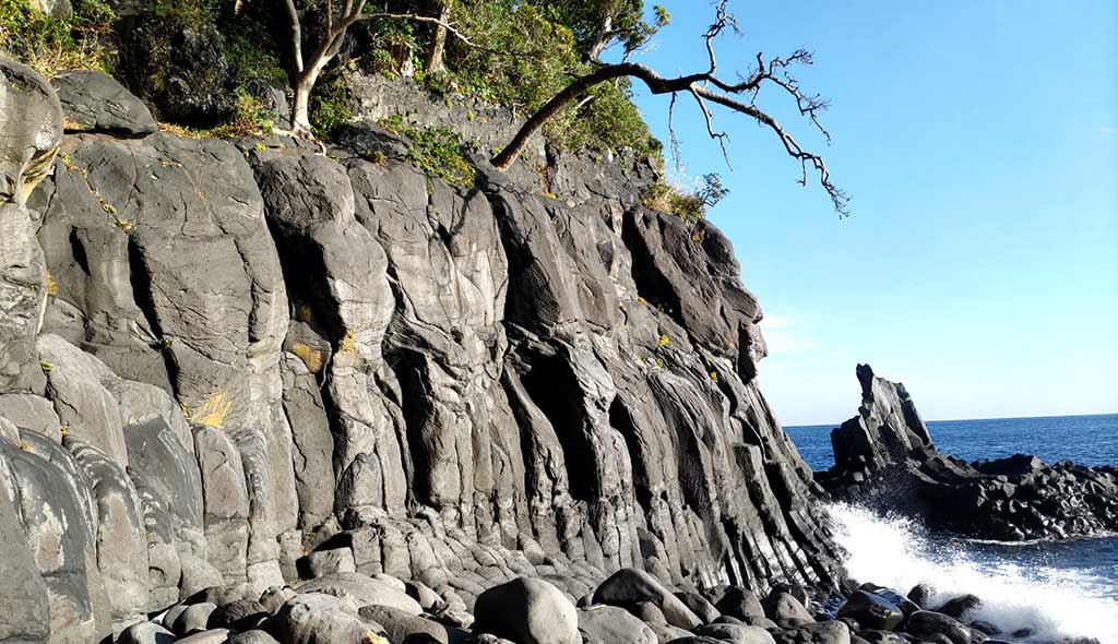 NET�R�x��hHALU�h