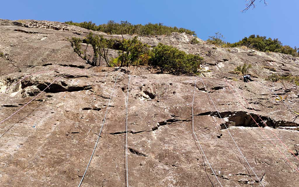 NET�R�x��hHALU�h