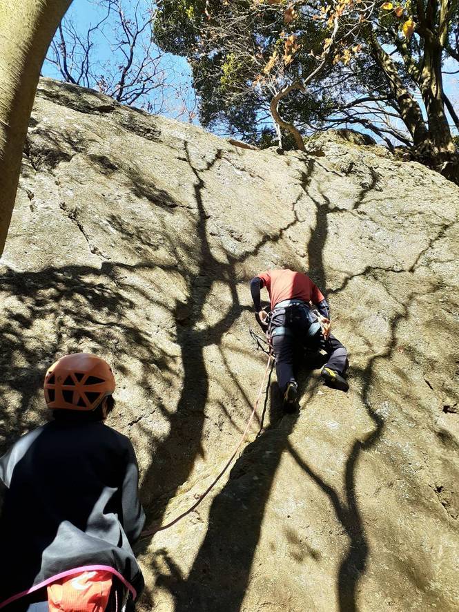 NET�R�x��hHALU�h