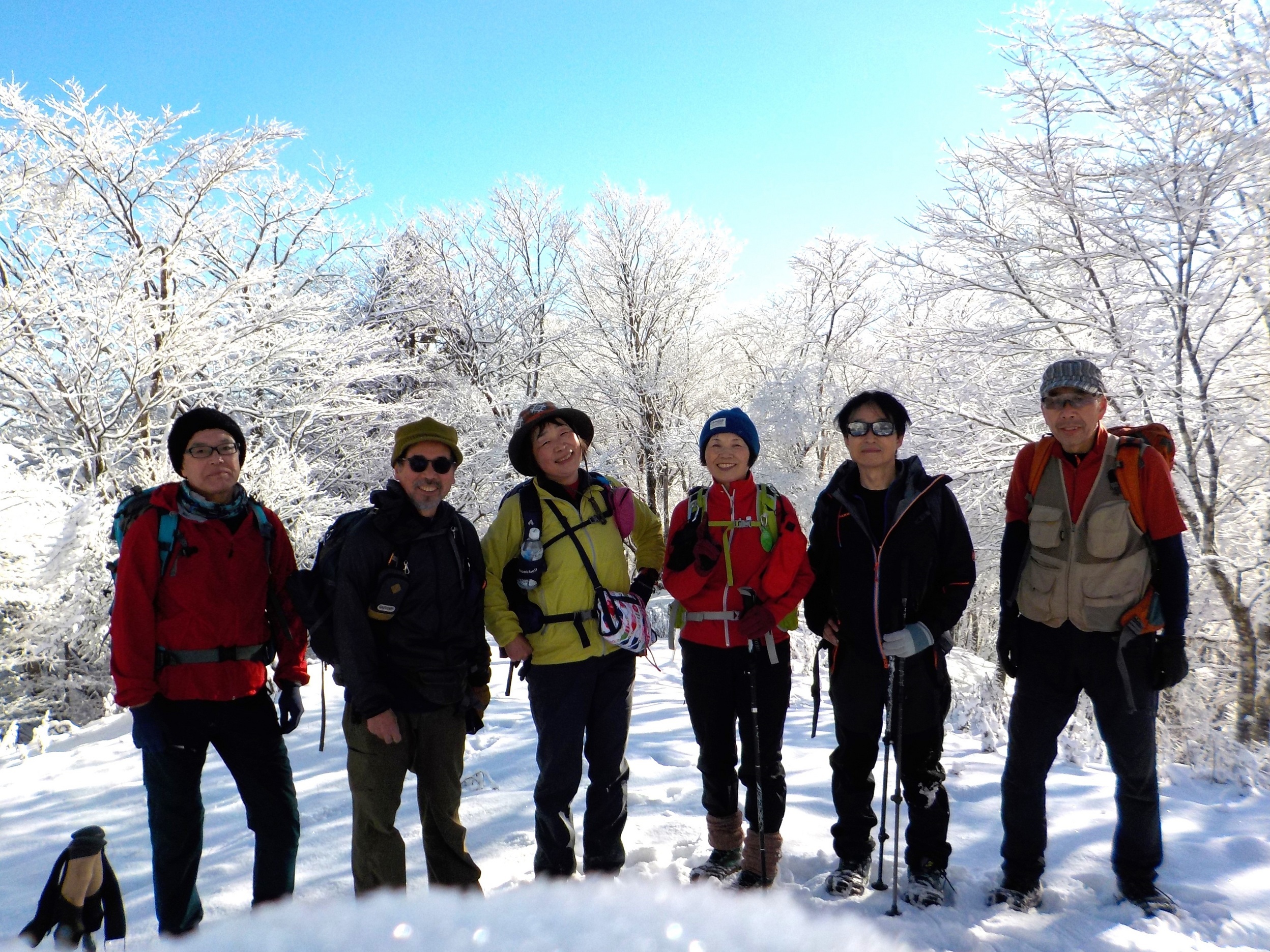 NET�R�x��hHALU�h