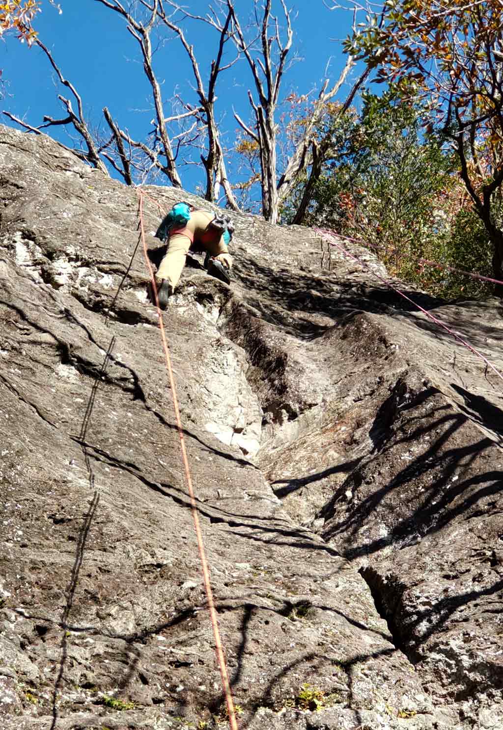 NET�R�x��hHALU�h