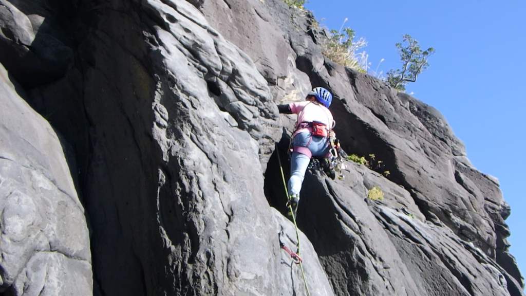 NET�R�x��hHALU�h