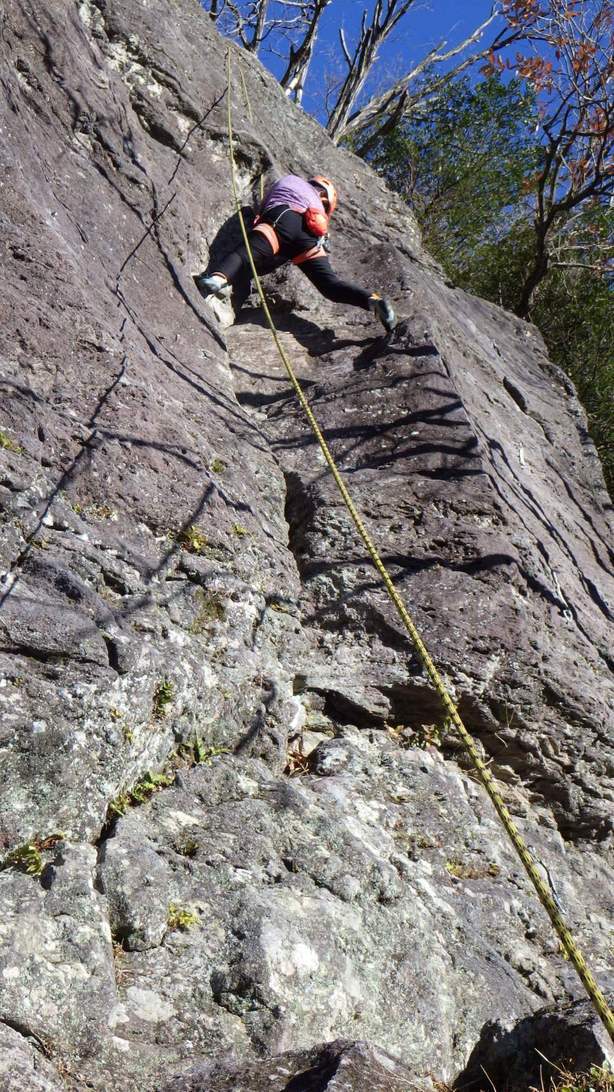 NET�R�x��hHALU�h