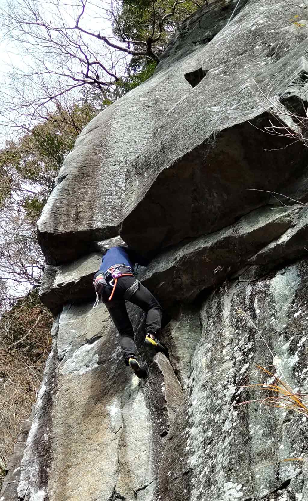 NET�R�x��hHALU�h