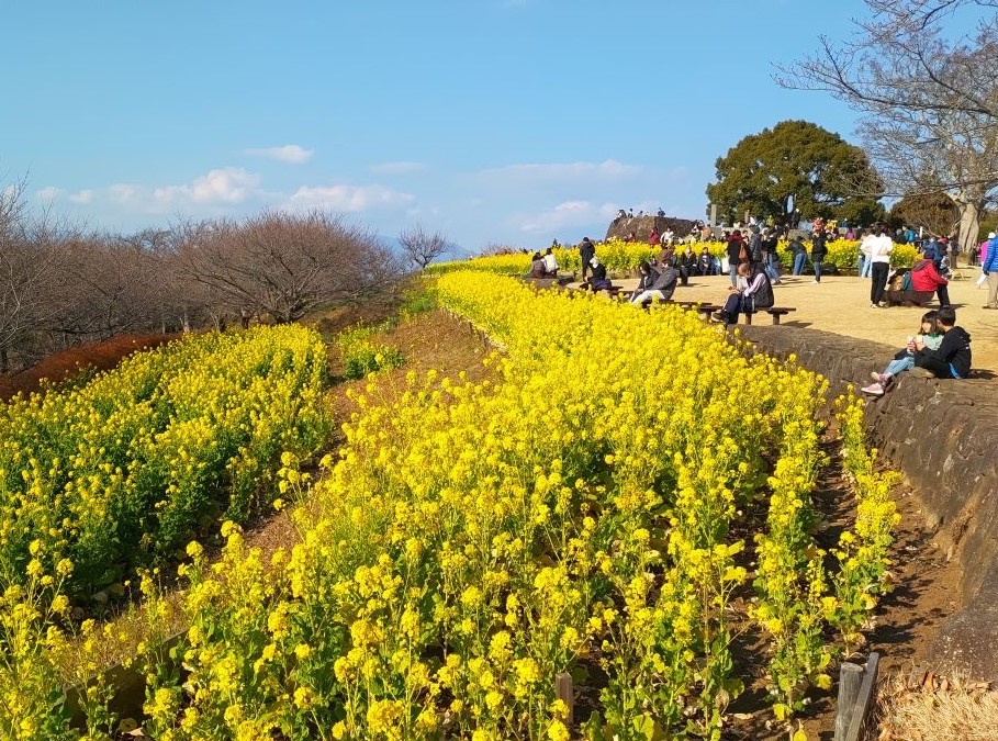 NET�R�x��hHALU�h