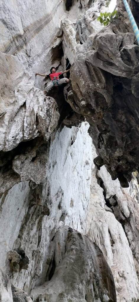 NET�R�x��hHALU�h