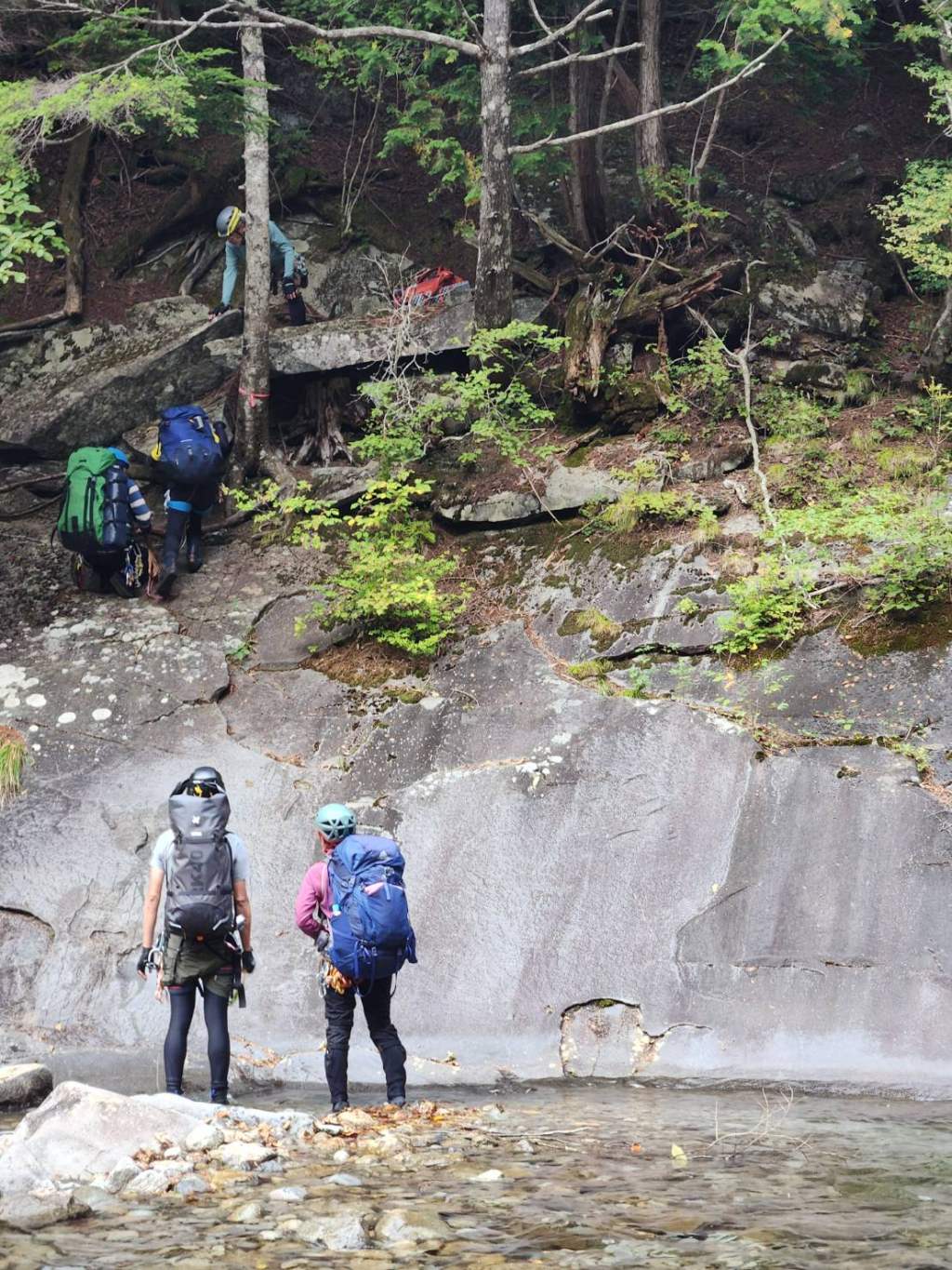 HALU8