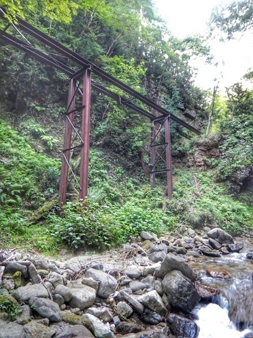 HALU8