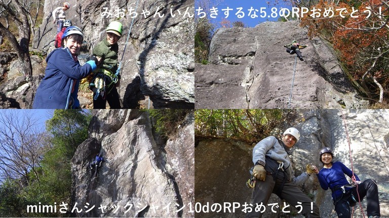 ���͌�����@��]��i���ɓ��ꃋ�[�g��RP�j�iHALU8�j