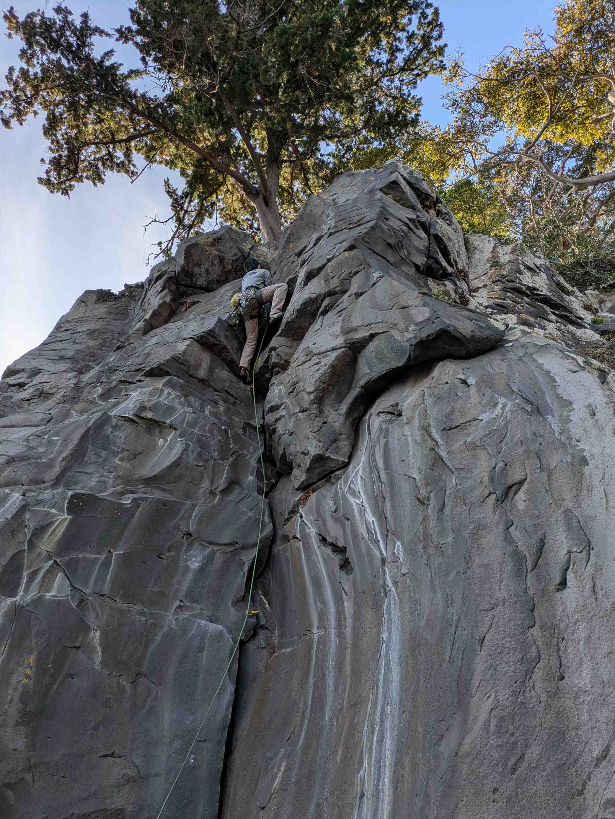 ��P��t�i���V�@�N���b�N�u�K��iHALU8�j