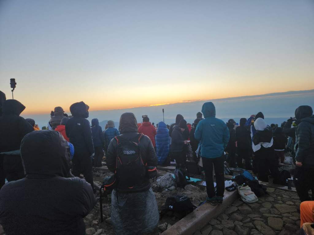 ���m�x�����̏o�R�s�iHALU8�j