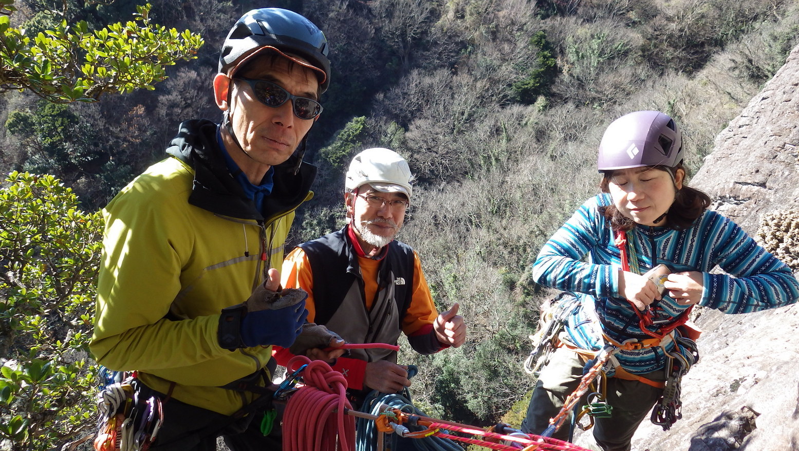 ��R �o�g�������i�[�iHALU8�j