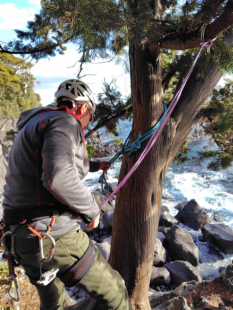 �郖��N���b�N���h�E�t�i���V���b�N�iHALU8�j