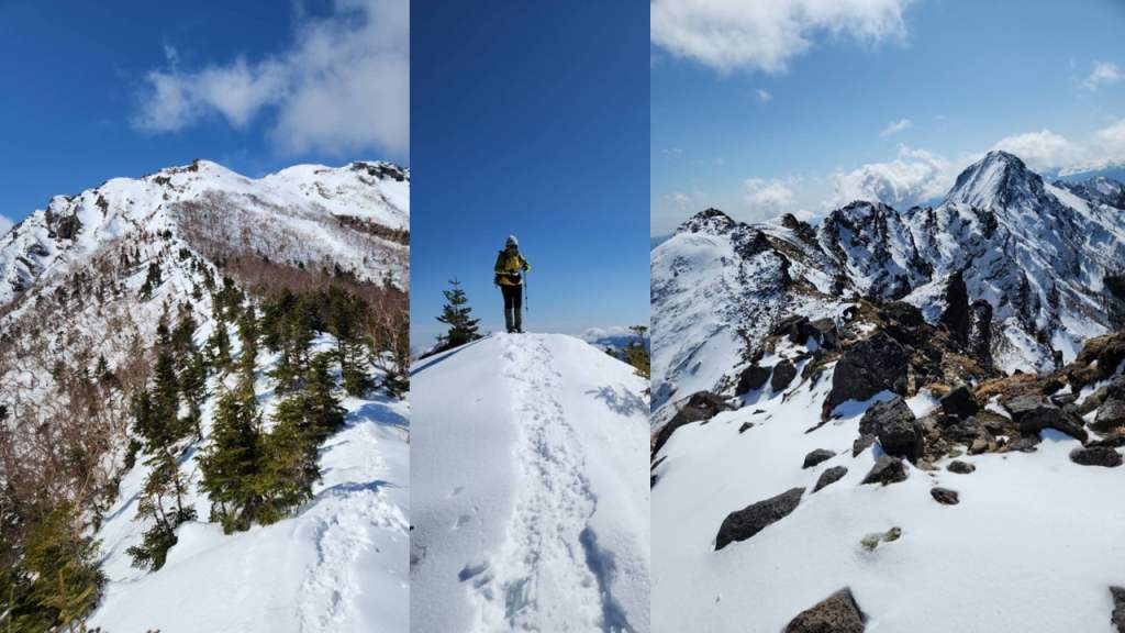 �[�Y�����ŉ��x�iHALU8�j