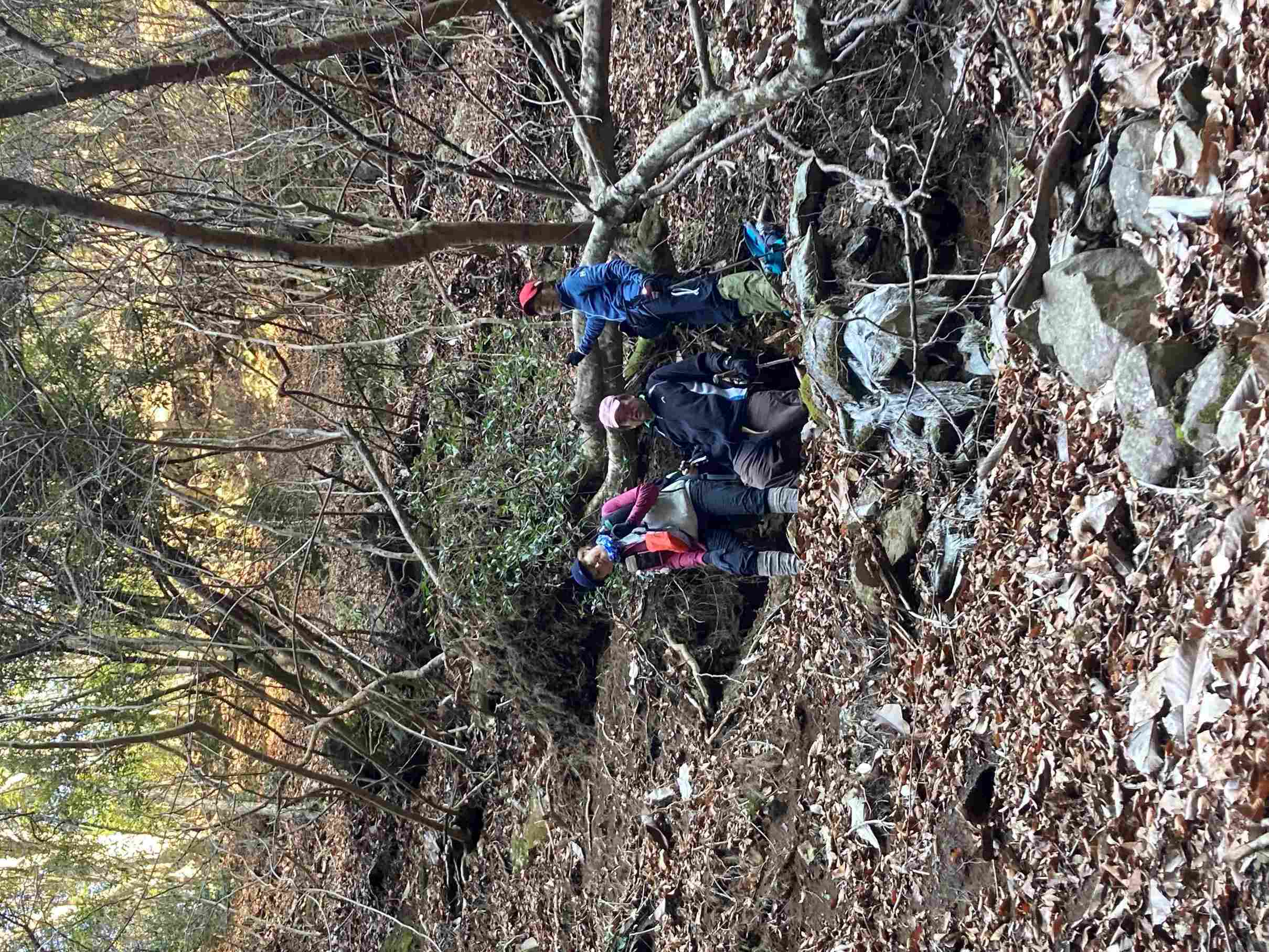 �{�P���z�R�Ւn����i���M�d�I�j�iHALU8�j