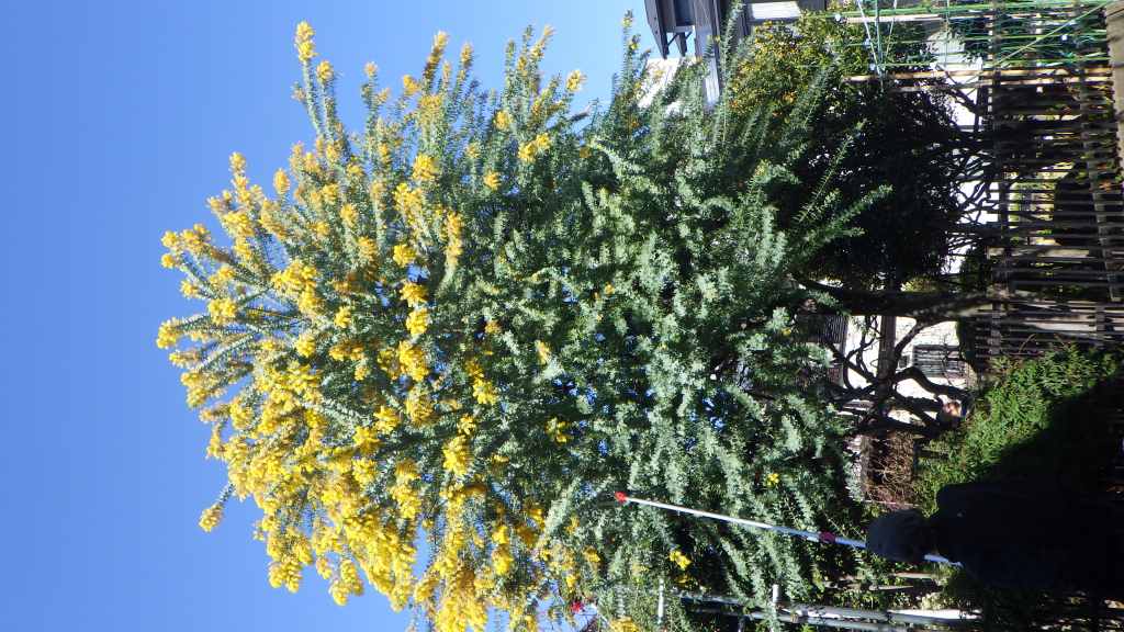 3/8�@�~���U���n�ՁiHALU8�j